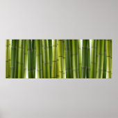 Bamboo Grove Poster (Vorne)