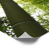 Bamboo Grove: Tokio, Japan Poster (Ecke)