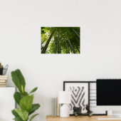 Bamboo Grove: Tokio, Japan Poster (Heimbüro)