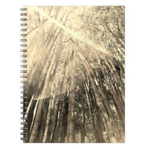 Bamboo im Sepia-Notebook Notizblock