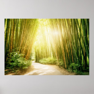 Bamboo Landschaftsmedizin Ruhe Poster