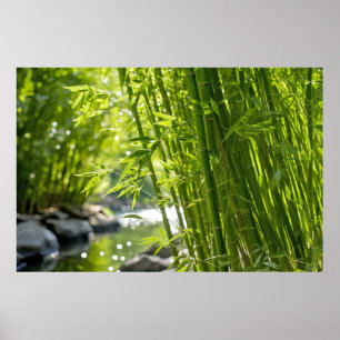 Bamboo Landschaftsmedizin Ruhe Poster