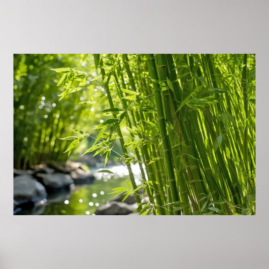 Bamboo Landschaftsmedizin Ruhe Poster (Vorne)