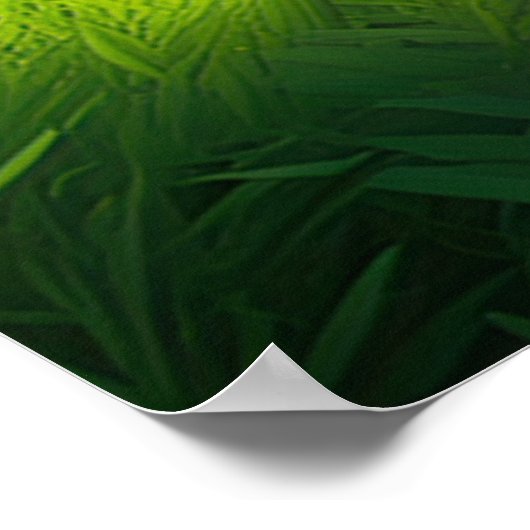 Bamboo Oase, Entdeckung des versteckten Frühlings Poster (Ecke)