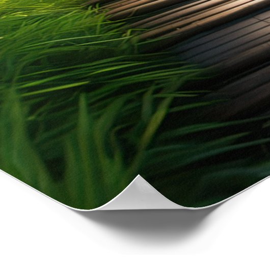 Bamboo Odyssey, ein Atemberaubender Grünwald Poster (Ecke)