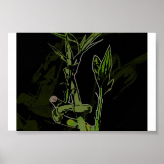 Bamboo-Pflanze Poster