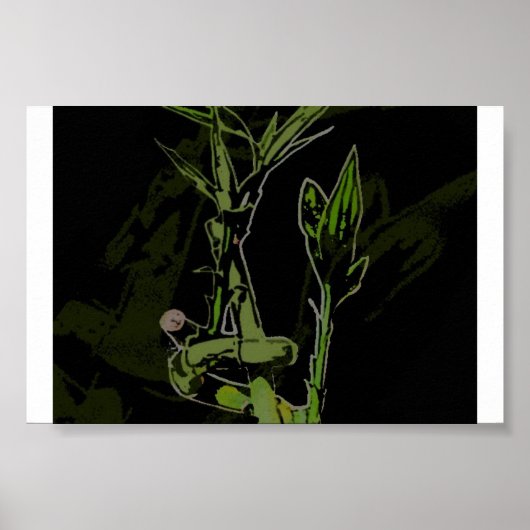 Bamboo-Pflanze Poster (Vorne)