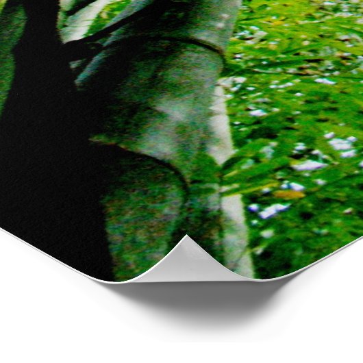 Bamboo Poster (Ecke)