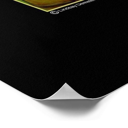 Bamboo Poster (Ecke)