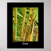 Bamboo Poster (Vorne)