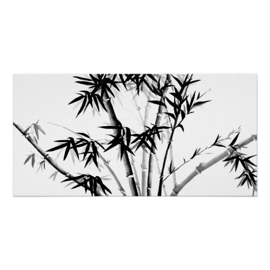 Bamboo Poster (Vorderseite)