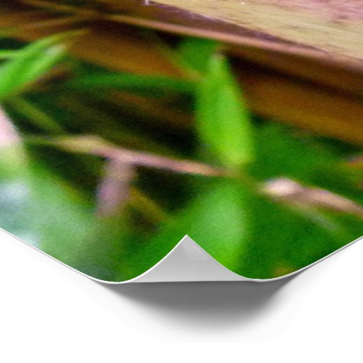 Bamboo Poster (Ecke)