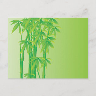 Bamboo Postkarte