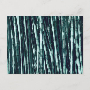 Bamboo Postkarte