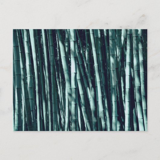 Bamboo Postkarte (Vorderseite)