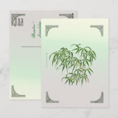 Bamboo Postkarte (Vorne/Hinten)