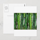 BAMBOO POSTKARTE (Vorne/Hinten)
