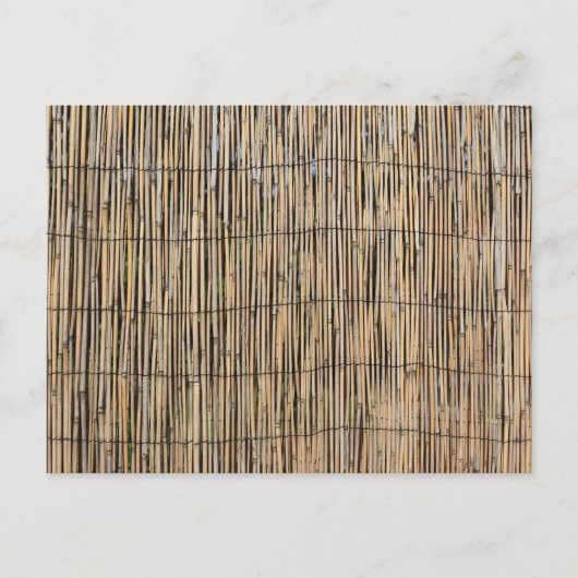 Bamboo Postkarte (Vorderseite)