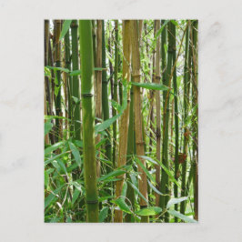 Bamboo Postkarte