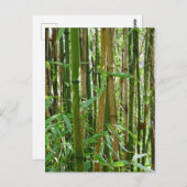 Bamboo Postkarte (Vorne/Hinten)