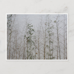 Bamboo Postkarte