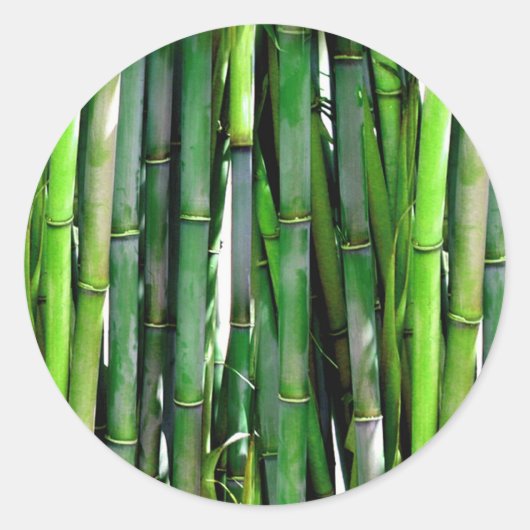 BAMBOO RUNDER AUFKLEBER (Vorderseite)