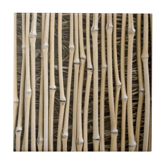 Bamboo Texture Fliese (Vorderseite)