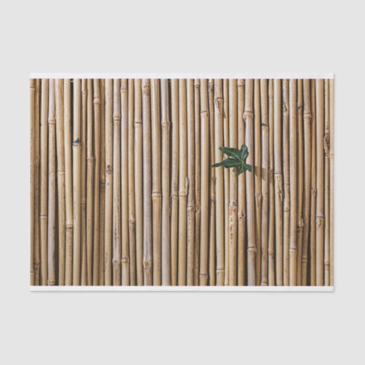 Bamboo Tissue - HAMbyWG Seidenpapier (Vorderseite)
