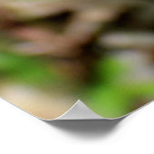 Bamboo wachsen poster (Ecke)