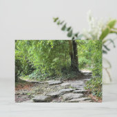 Bambus (Stehend Vorderseite)