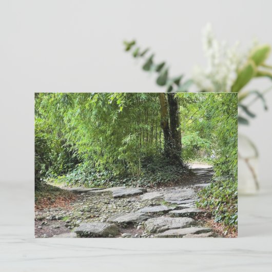 Bambus (Stehend Vorderseite)