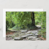 Bambus (Vorne/Hinten)