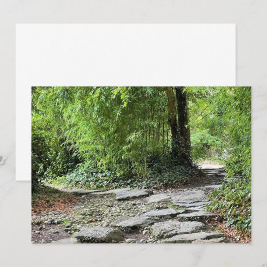 Bambus (Vorne/Hinten)