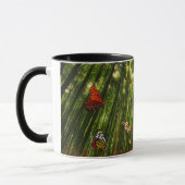 Bambus & Butterfly Art 2 Tasse (Links)