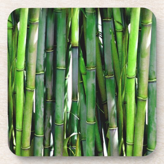 BAMBUS GETRÄNKEUNTERSETZER (Vorderseite)
