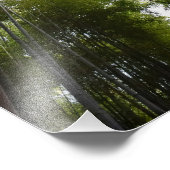 Bambus Grove dec Fotodruck (Ecke)