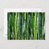 Bambus grüne Pflanze Naturdschungel Postkarte (Vorne/Hinten)
