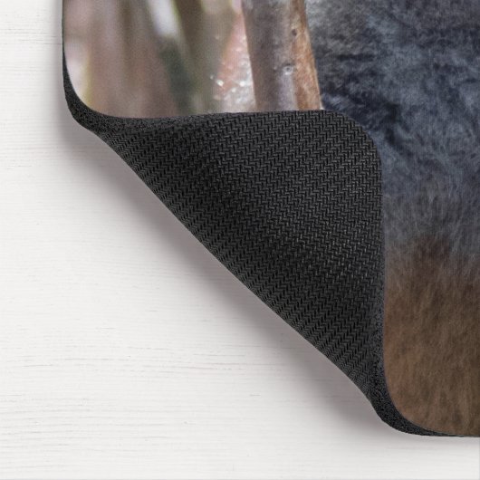 Bambus-Limousine Mousepad (Ecke)