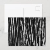 Bambus Postkarte (Vorne/Hinten)