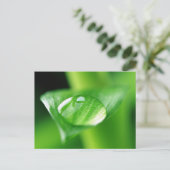 Bambus Postkarte (Stehend Vorderseite)