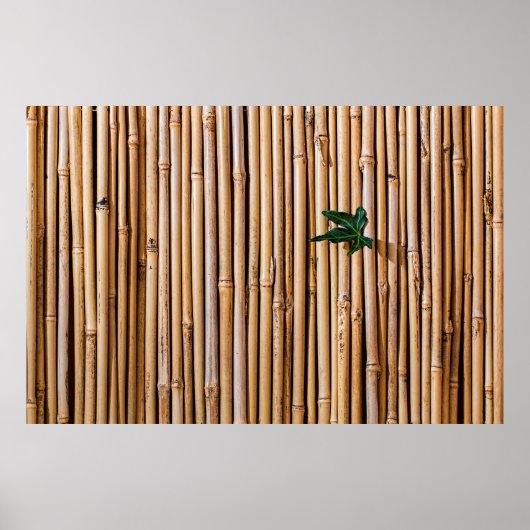 Bambus-Sperrmauer Poster (Vorne)