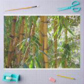 Bambus Trees Decoupage 15 Background Tissue Paper Seidenpapier (Basteln)