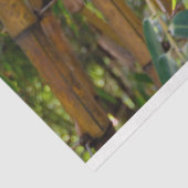 Bambus Trees Decoupage 15 Background Tissue Paper Seidenpapier (Ausschnitt)