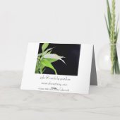 Bambus verlässt Reise alles- Gute zum Karte (Rückseite)