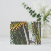 Bambus von Mexiko Postkarte (Stehend Vorderseite)