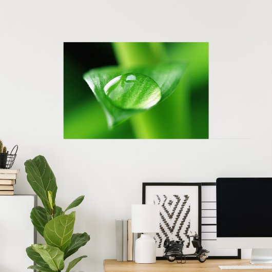 Bambus Wassertropfen Poster (Heimbüro)