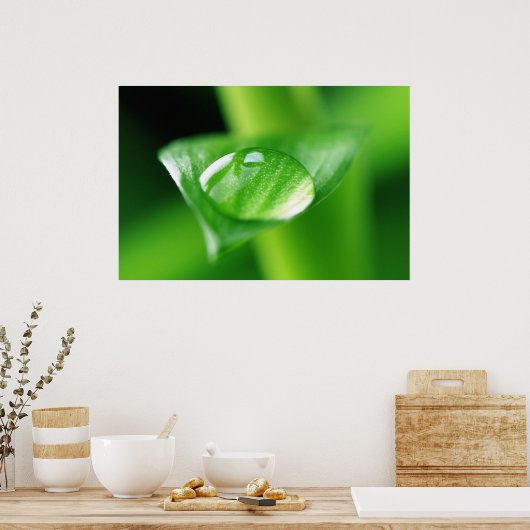 Bambus Wassertropfen Poster (Küche)