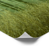 Bambusbäume Poster (Ecke)