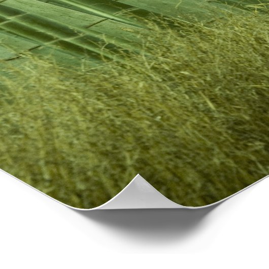 Bambusbäume Poster (Ecke)