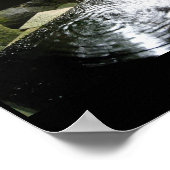 Bambusbrunnen, Bilder aus Japan Poster (Ecke)